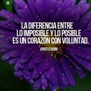 Meet your Posher, Perez